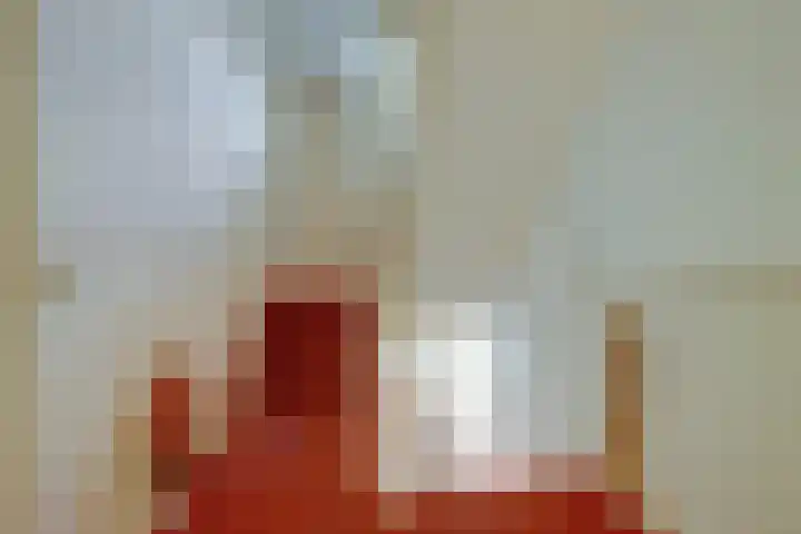 Zuider Parallelweg 5 Velp thumbnail 20