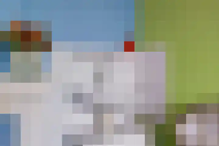 Zuider Parallelweg 5 Velp thumbnail 31