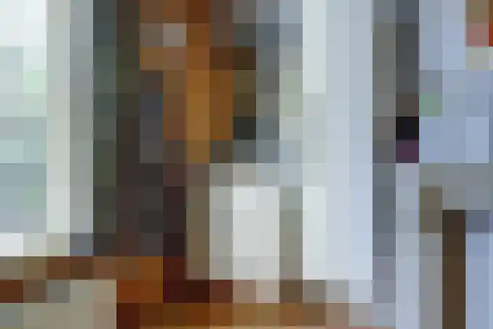Zuider Parallelweg 5 Velp thumbnail 36
