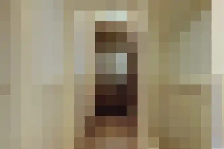 Zuider Parallelweg 5 Velp thumbnail 4