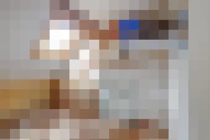 Zuider Parallelweg 5 Velp thumbnail 45