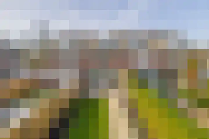 Zuider Parallelweg 5 Velp thumbnail 5