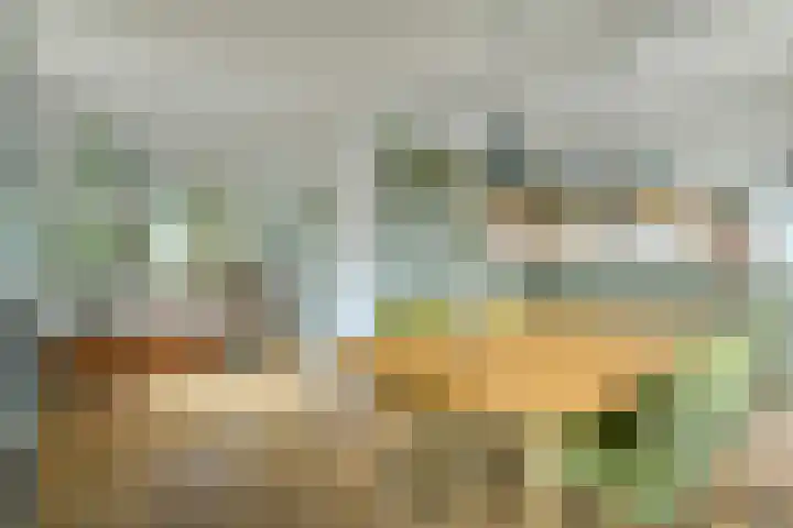 Zuider Parallelweg 5 Velp thumbnail 49