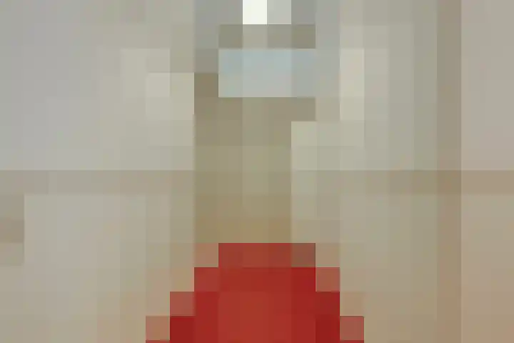 Zuider Parallelweg 5 Velp thumbnail 51
