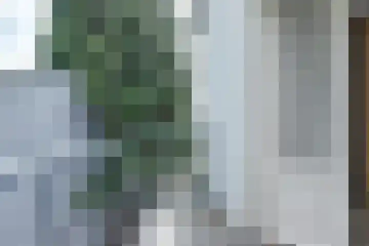 Zuider Parallelweg 5 Velp thumbnail 52