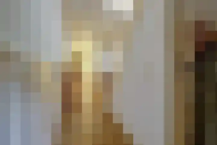 Zuider Parallelweg 5 Velp thumbnail 55