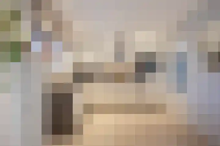 Zuider Parallelweg 5 Velp thumbnail 58
