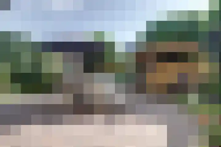 Zuider Parallelweg 5 Velp thumbnail 60