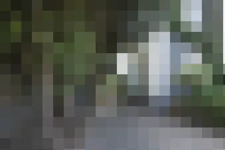 Zuider Parallelweg 5 Velp thumbnail 63