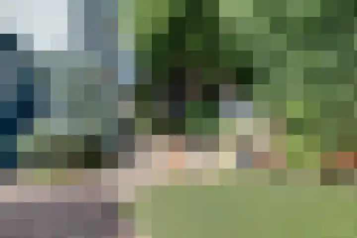 Zuider Parallelweg 5 Velp thumbnail 64