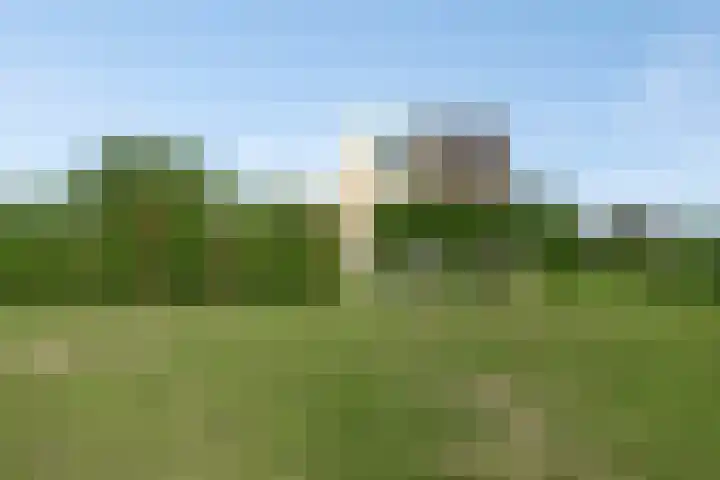 Zuider Parallelweg 5 Velp thumbnail 67