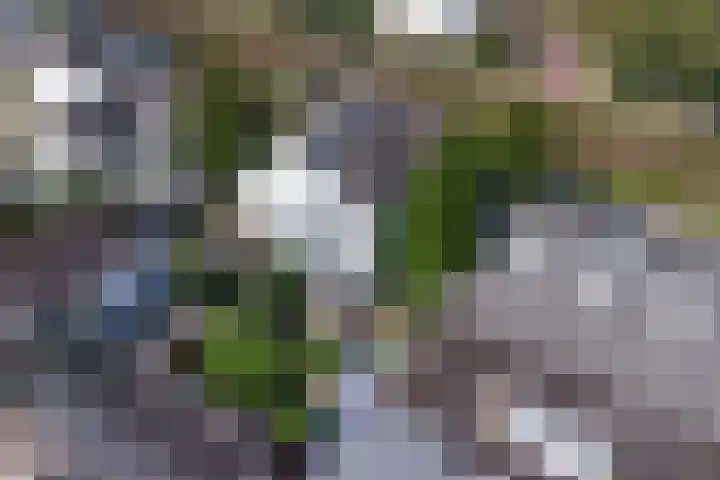 Zuider Parallelweg 5 Velp thumbnail 70