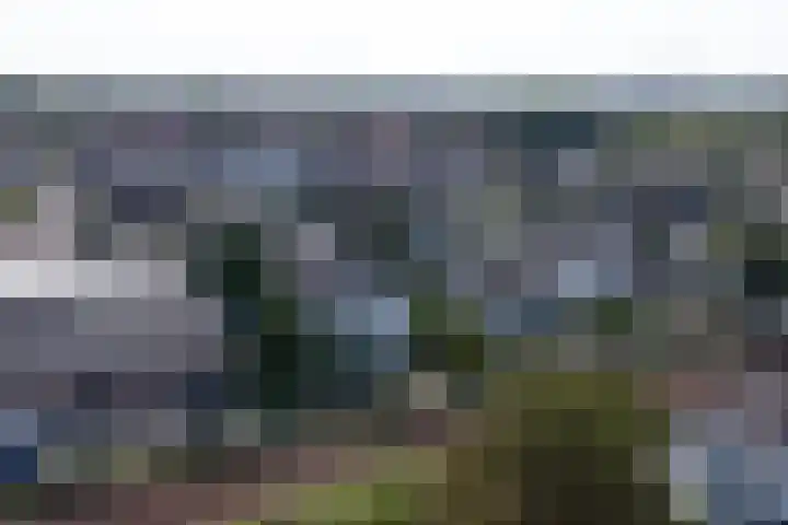 Zuider Parallelweg 5 Velp thumbnail 75