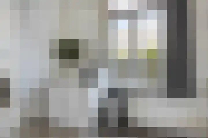 Zuider Parallelweg 58 Dieren thumbnail 10
