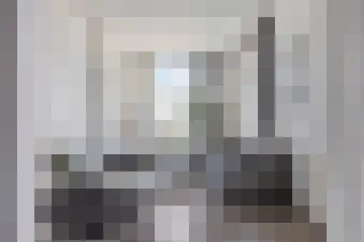 Zuider Parallelweg 58 Dieren thumbnail 11