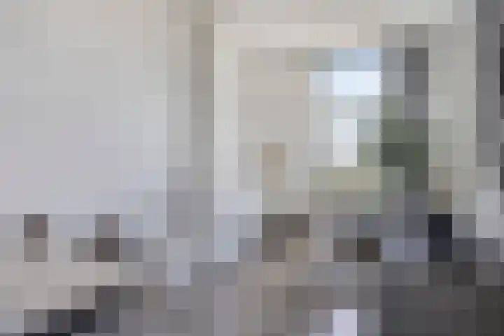 Zuider Parallelweg 58 Dieren thumbnail 12