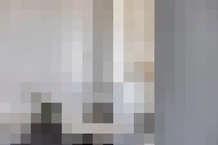 Zuider Parallelweg 58 Dieren thumbnail 13