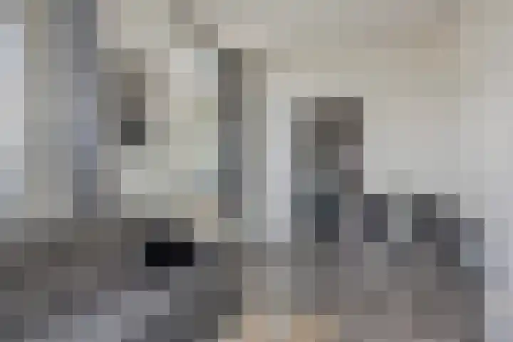 Zuider Parallelweg 58 Dieren thumbnail 14