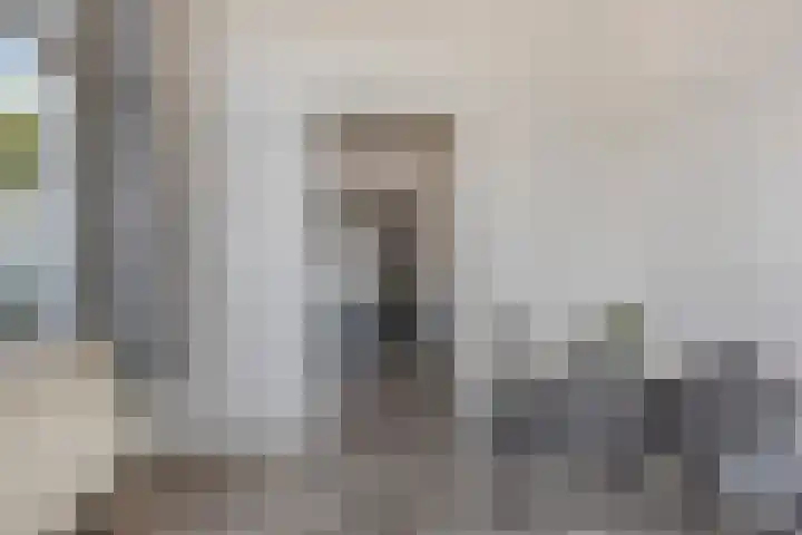 Zuider Parallelweg 58 Dieren thumbnail 15