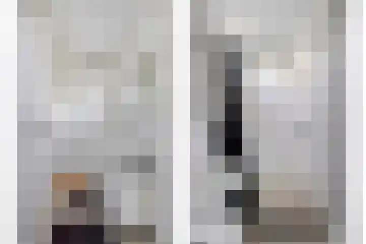 Zuider Parallelweg 58 Dieren thumbnail 16