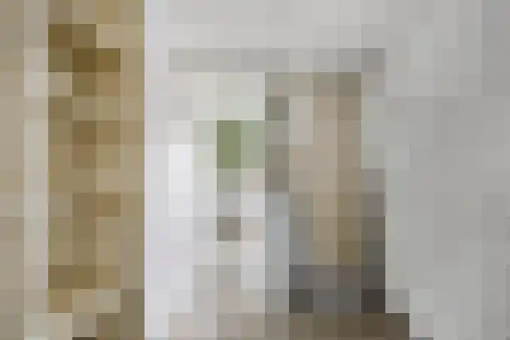 Zuider Parallelweg 58 Dieren thumbnail 17