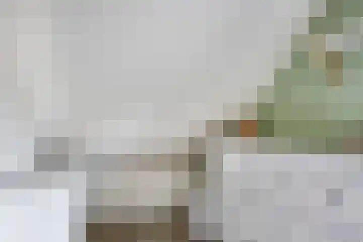 Zuider Parallelweg 58 Dieren thumbnail 19