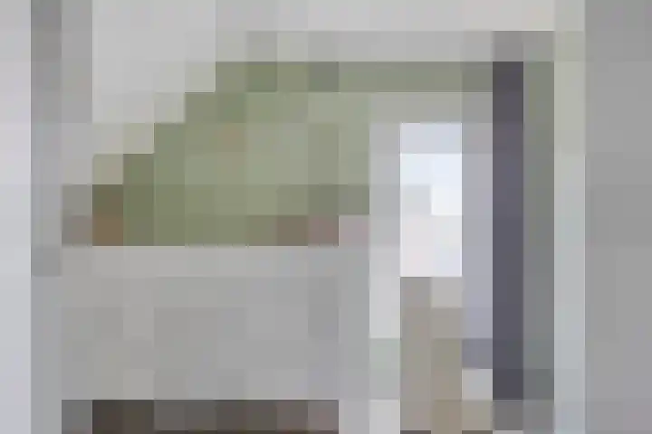 Zuider Parallelweg 58 Dieren thumbnail 20