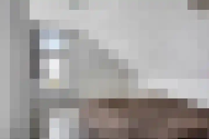Zuider Parallelweg 58 Dieren thumbnail 21