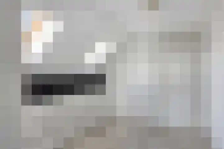 Zuider Parallelweg 58 Dieren thumbnail 23