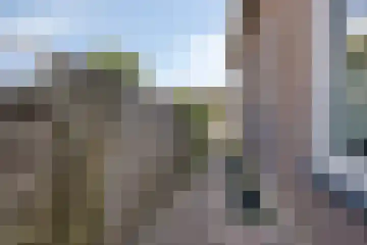 Zuider Parallelweg 58 Dieren thumbnail 24