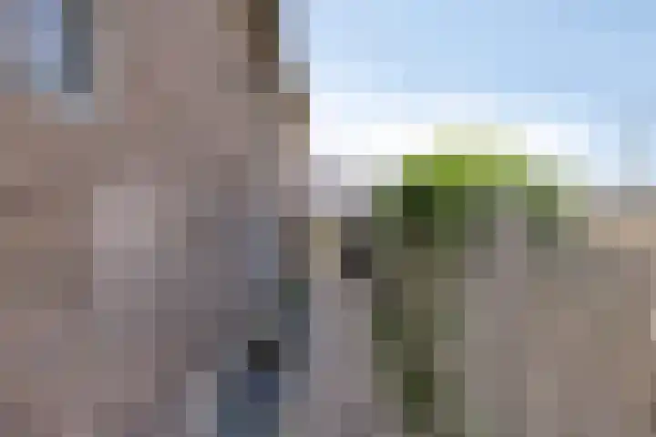 Zuider Parallelweg 58 Dieren thumbnail 25