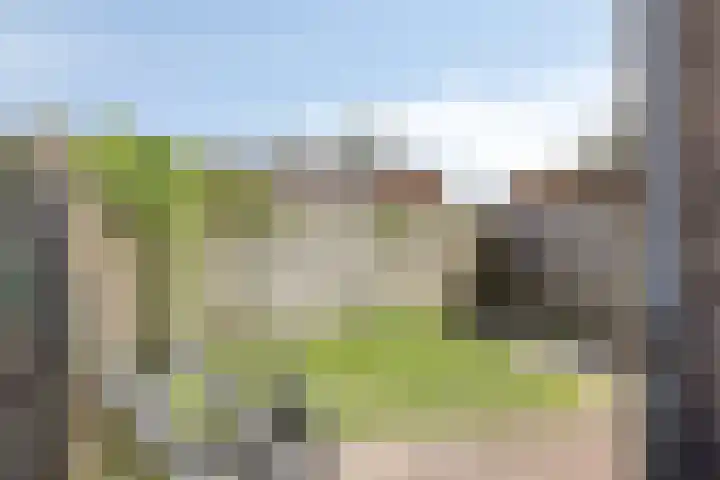 Zuider Parallelweg 58 Dieren thumbnail 26