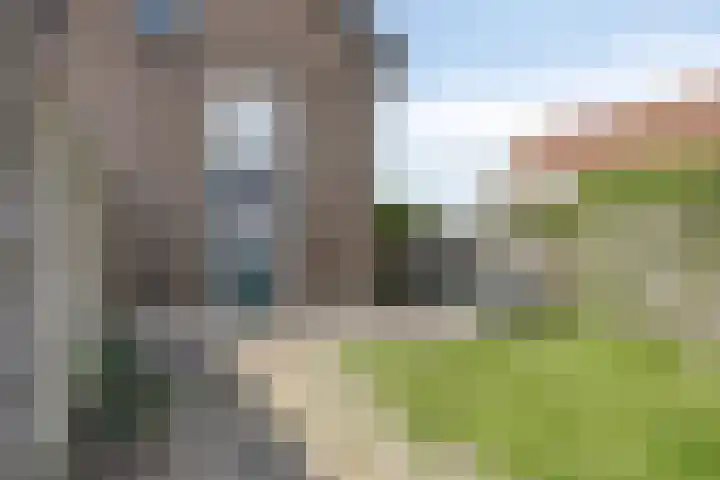 Zuider Parallelweg 58 Dieren thumbnail 28