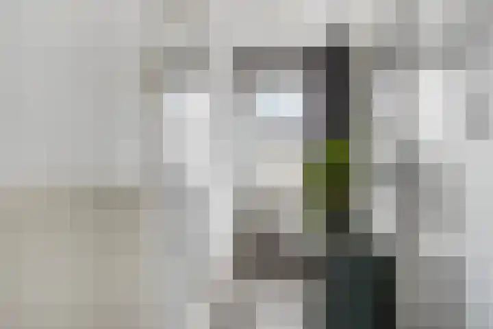 Zuider Parallelweg 58 Dieren thumbnail 4