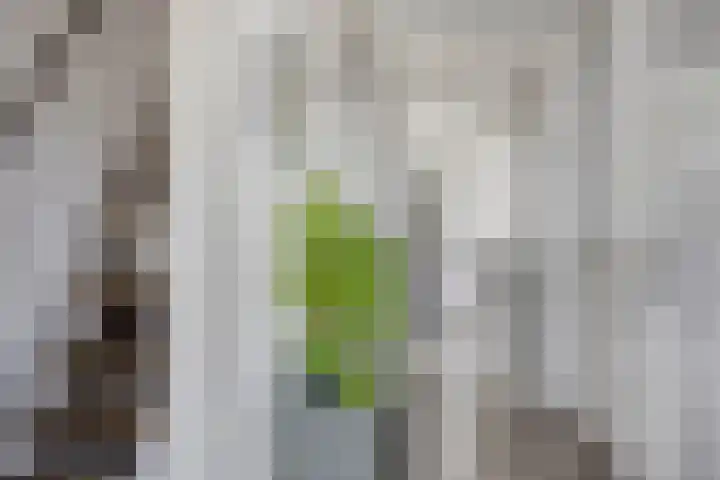 Zuider Parallelweg 58 Dieren thumbnail 5