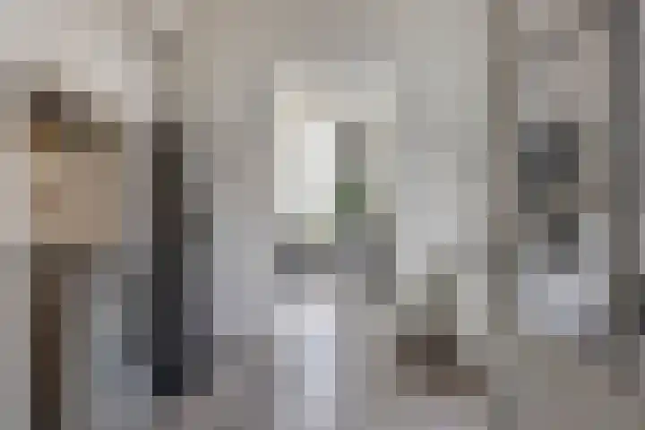 Zuider Parallelweg 58 Dieren thumbnail 6