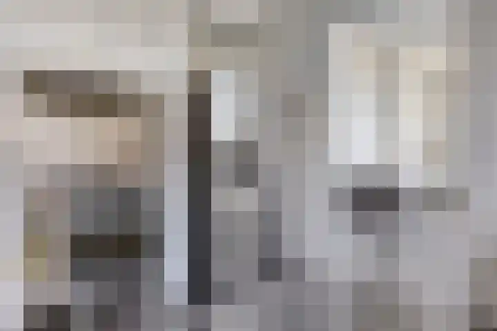 Zuider Parallelweg 58 Dieren thumbnail 7