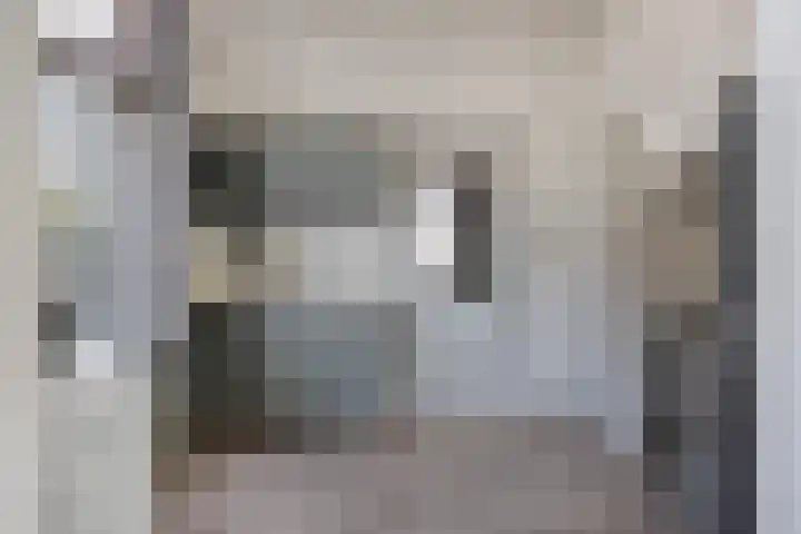 Zuider Parallelweg 58 Dieren thumbnail 8