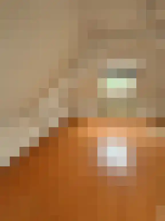 Zuider Parallelweg Velp foto 2