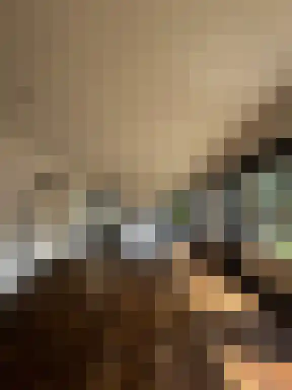 Zuider Parallelweg Velp foto 3