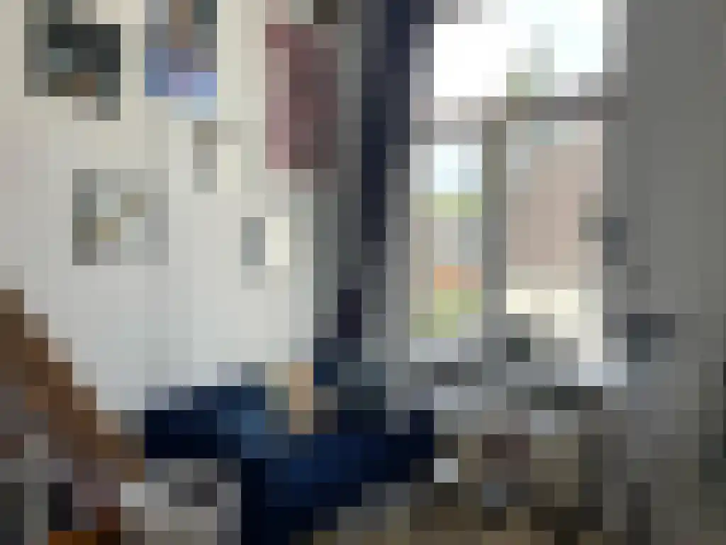 Zuider Parallelweg Velp thumbnail 4