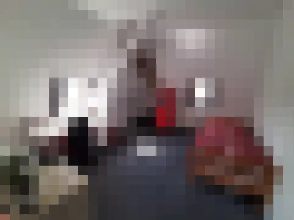 Zuider Parallelweg Velp thumbnail 4