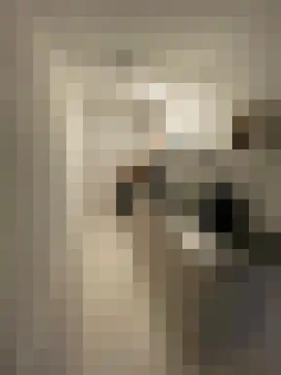 Zuider Parallelweg Velp thumbnail 4