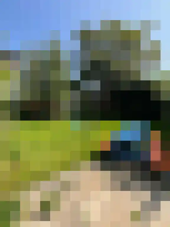 Zuider Parallelweg Velp thumbnail 4