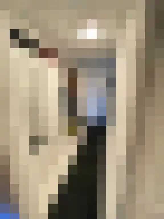 Zuider Parallelweg Velp thumbnail 5