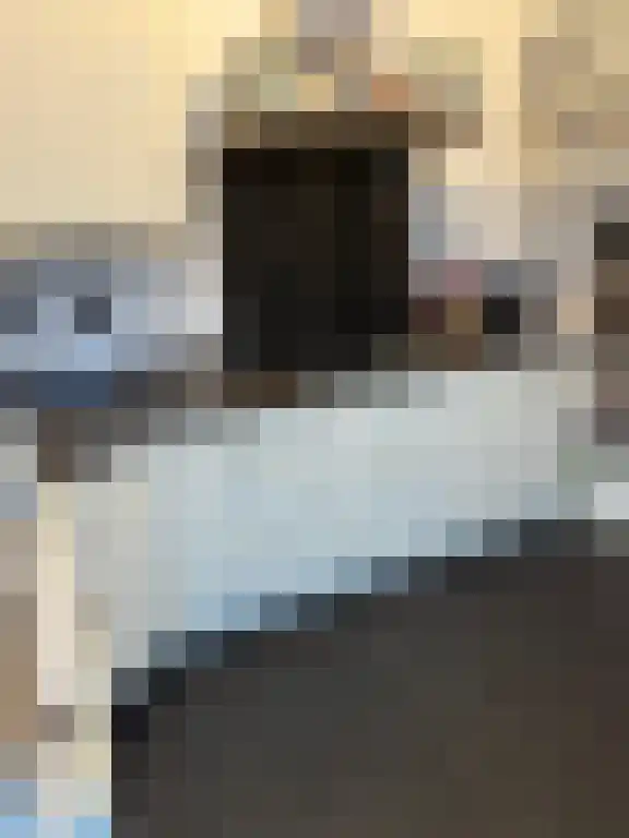 Zuider Parallelweg Velp thumbnail 5