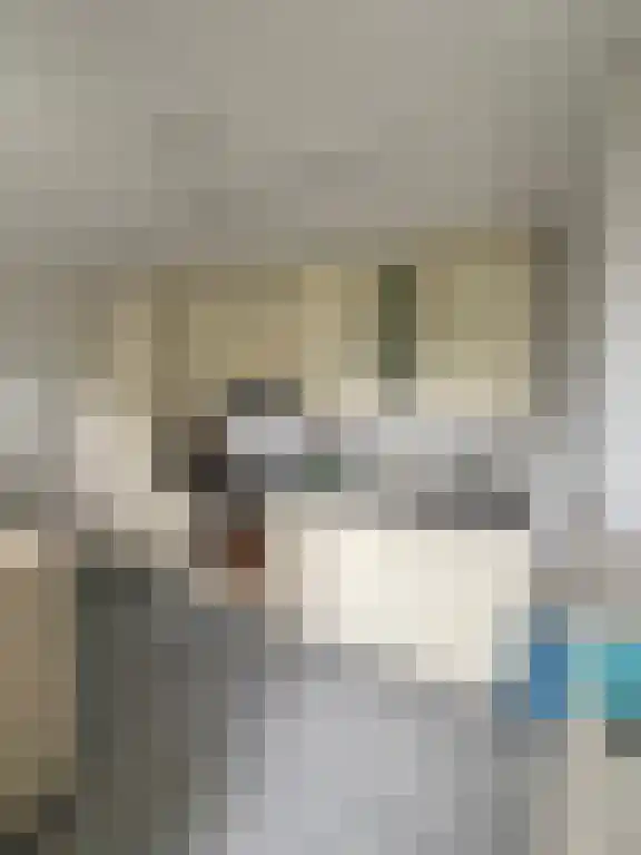 Zuider Parallelweg Velp thumbnail 6