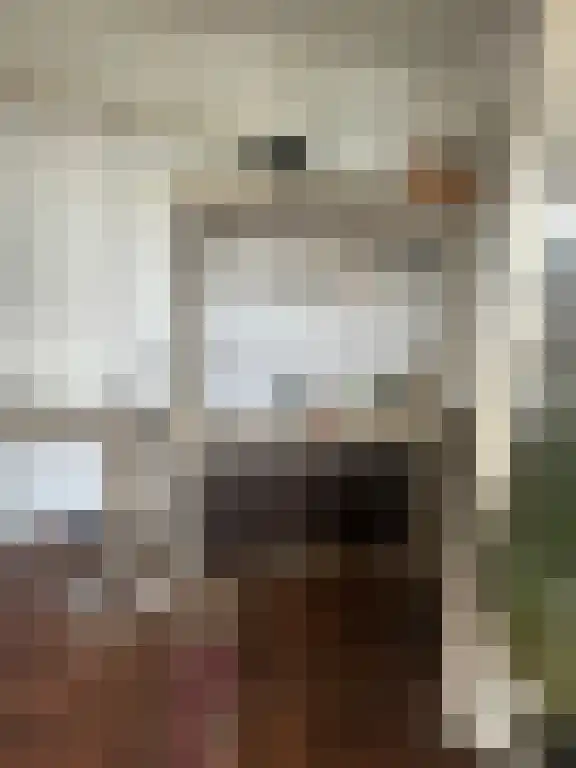 Zuider Parallelweg Velp thumbnail 6