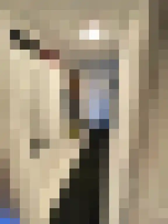 Zuider Parallelweg Velp thumbnail 6