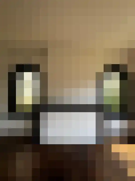Zuider Parallelweg Velp thumbnail 6